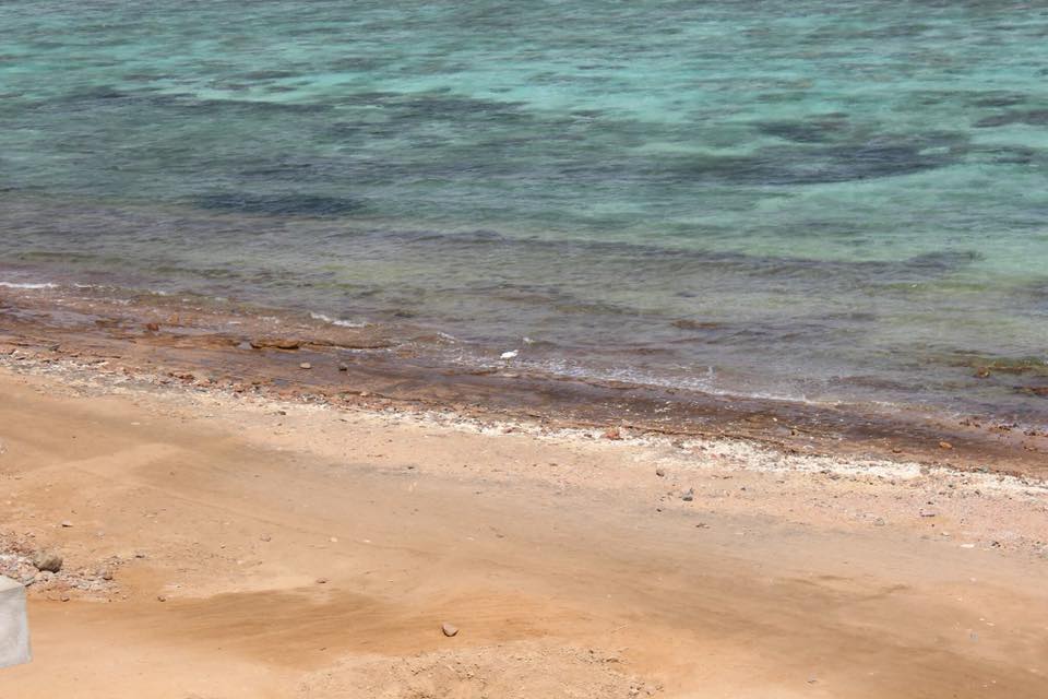 parto mare Mar Rosso