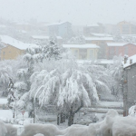Neve Basilicata: scuole chiuse anche domani 23 marzo a Potenza