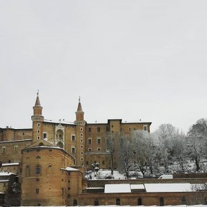 Urbino