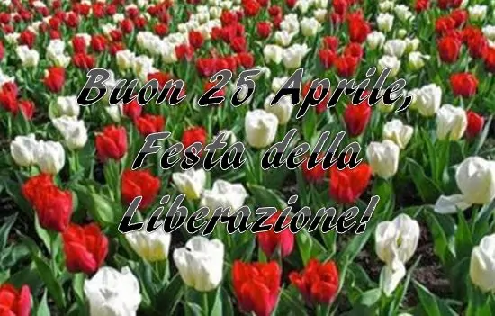 Buon 25 aprile buona festa della liberazione (1)