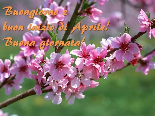 Buongiorno buon inizio aprile (2)