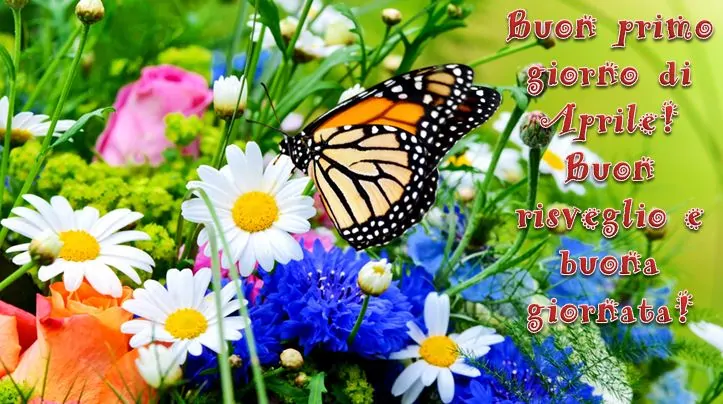 Buongiorno buon inizio aprile (2)