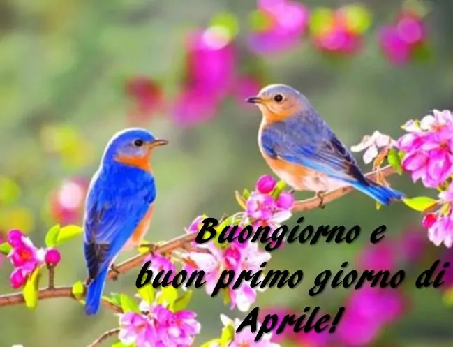Buongiorno buon inizio aprile (2)