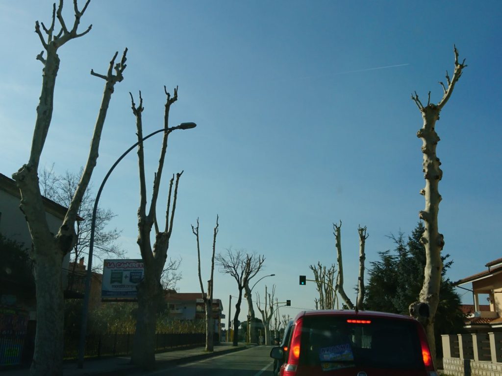 Capitozzi-adriatica-francavilla (1)