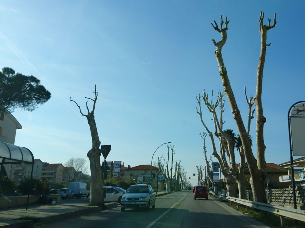 Capitozzi-adriatica-francavilla (1)
