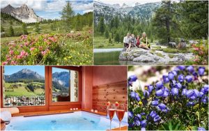 Dolomiti Excelsior Dolomites Life Resort