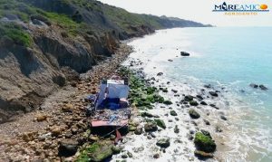 Mareamico