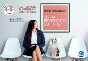 Mese Ipertensione Felina_Locandina