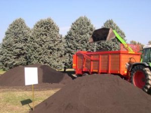 compost_cic