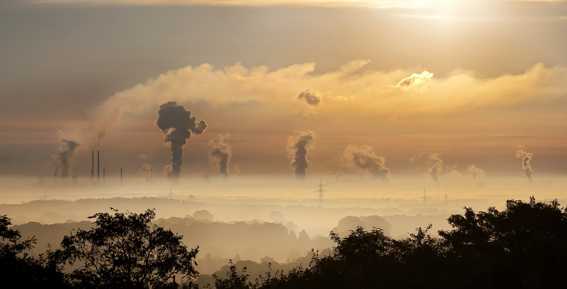 conferenza online carbon pricing riscaldamento globale