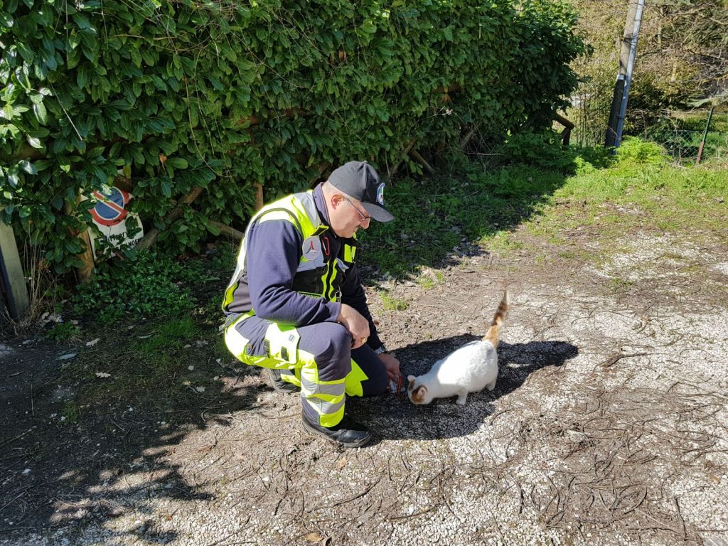 tour animali terremoto