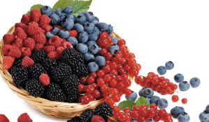 frutti di bosco