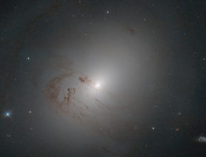 galassia lenticolare NGC 2655
