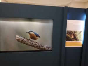 mostra parco aspromonte bio