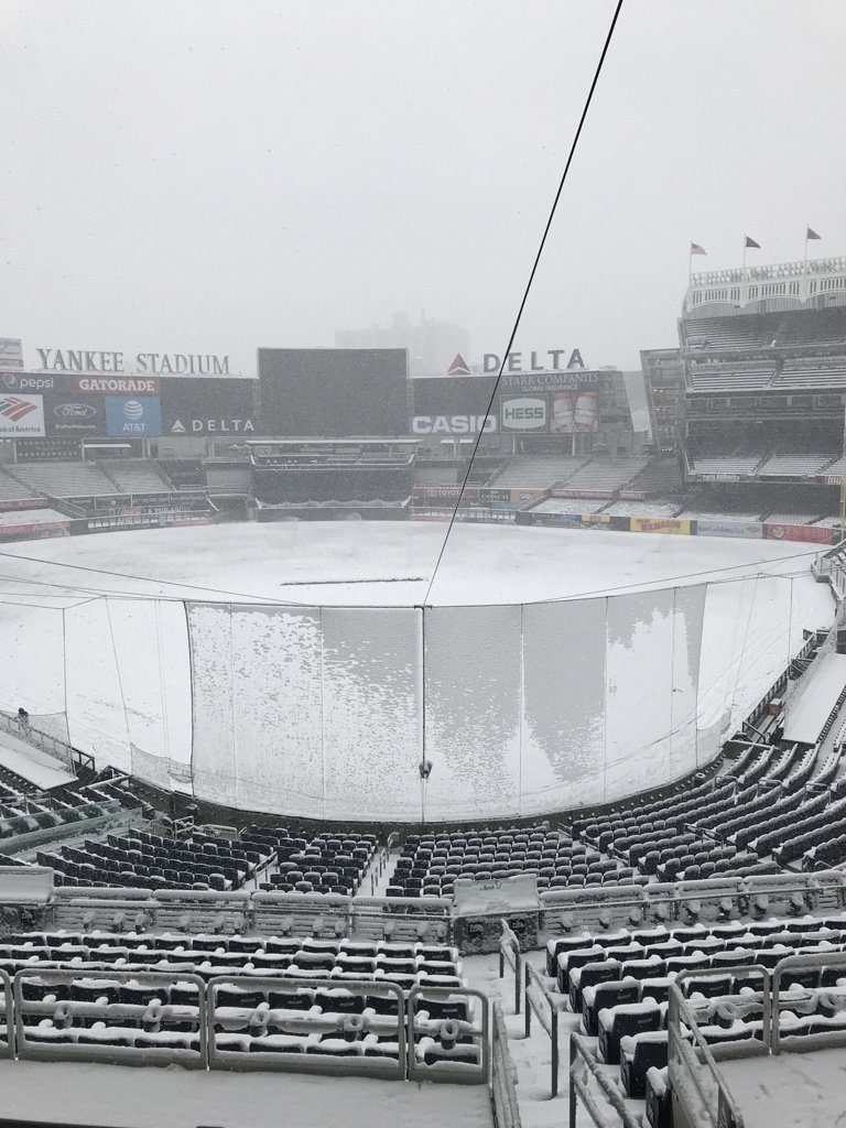 neve New York