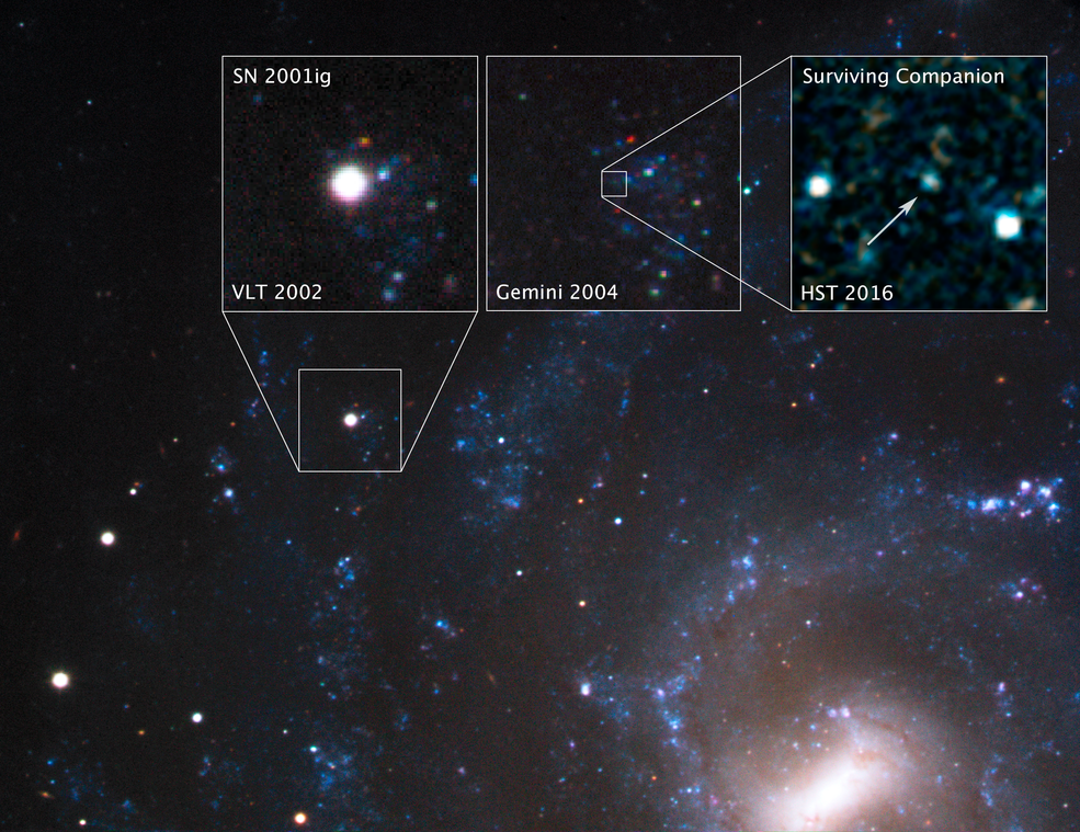 supernova SN 2001ig
