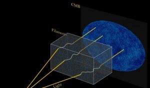 universo filamenti