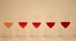 vino puglia