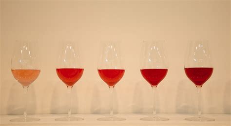 vino puglia