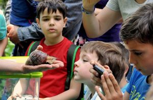 Bioparco Roma