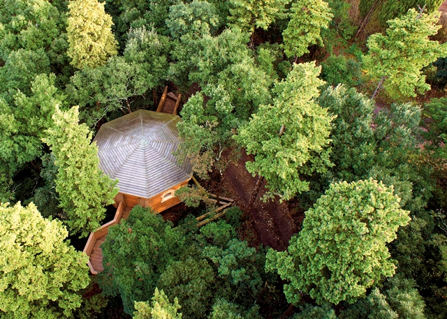 Les Cabannes dans le bois