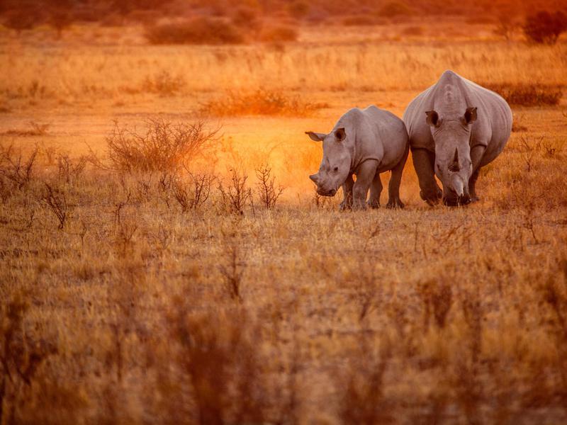 Namibia