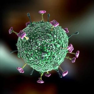 Nipah Virus