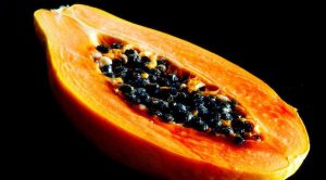 papaya