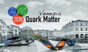 Venezia Quark Matter