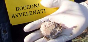 bocconi avvelenati