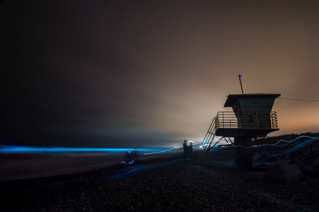 bioluminescenza california