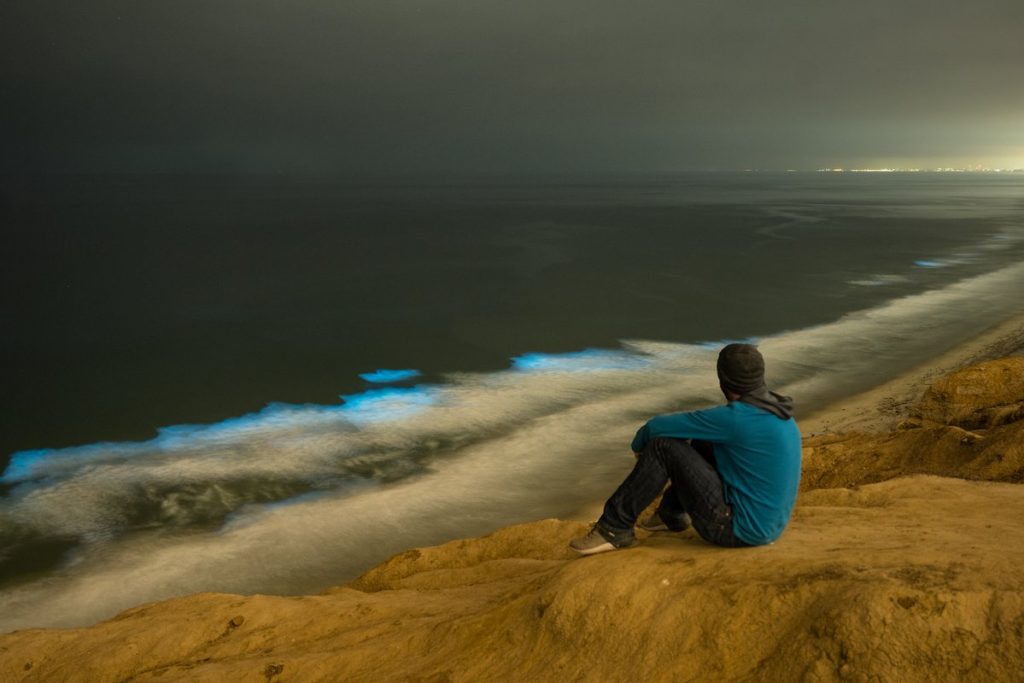 bioluminescenza california