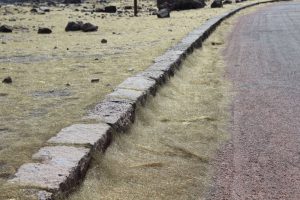 capelli di pele vulcano kilauea 2