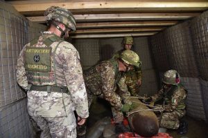 disinnesco esercito torino