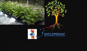 farmaci acqua pianta