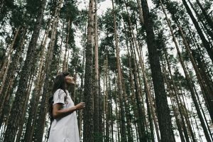 foresta