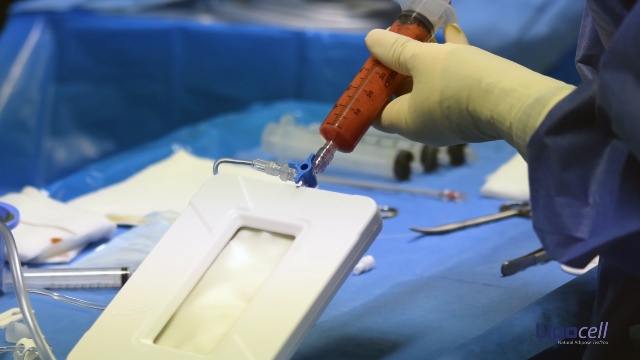 medicina rigenerativa