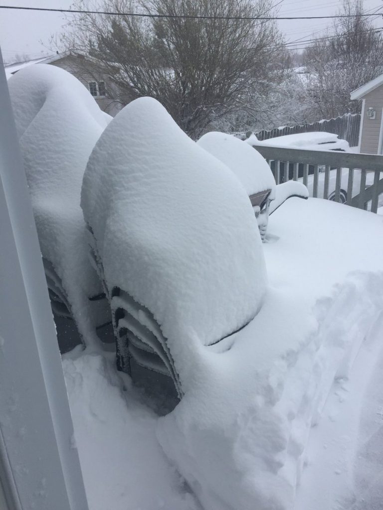 neve terranova canada
