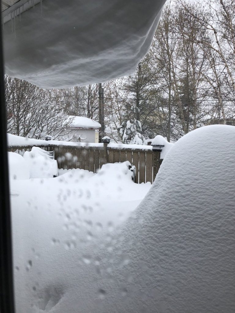 neve terranova canada