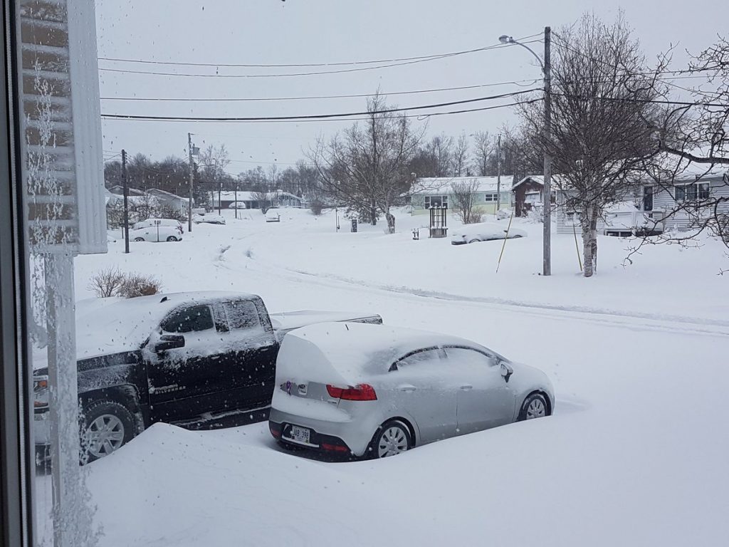 neve terranova canada