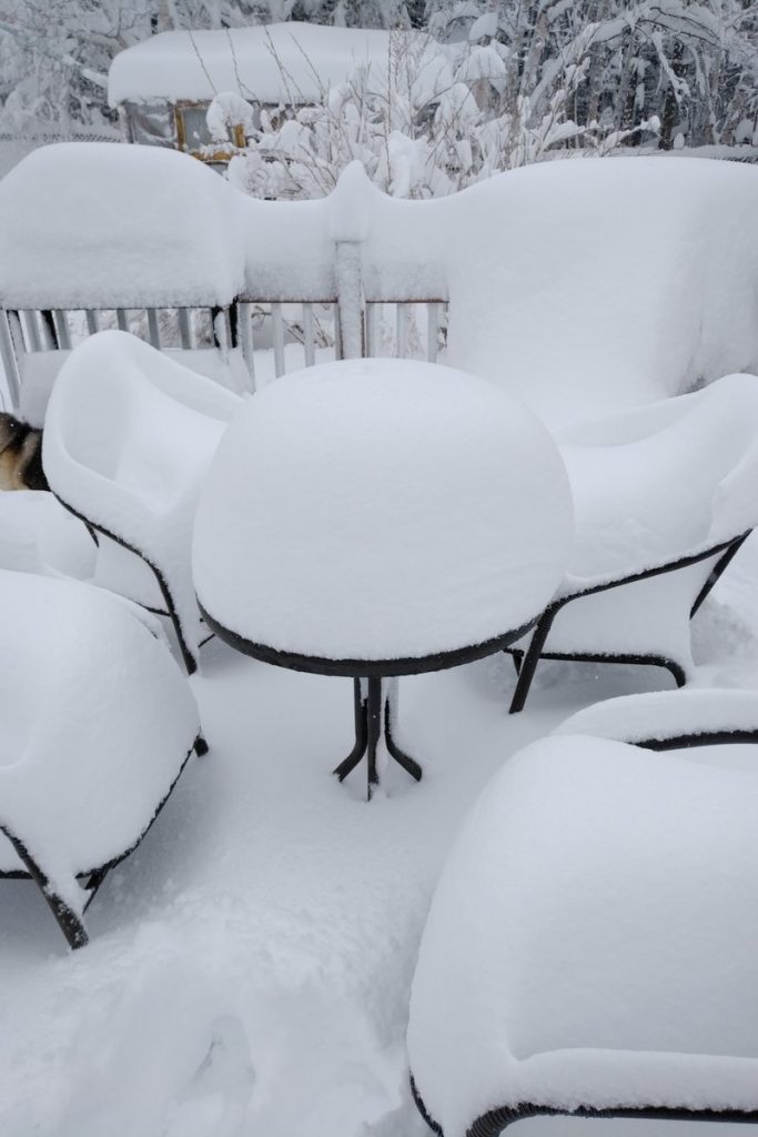 neve terranova canada