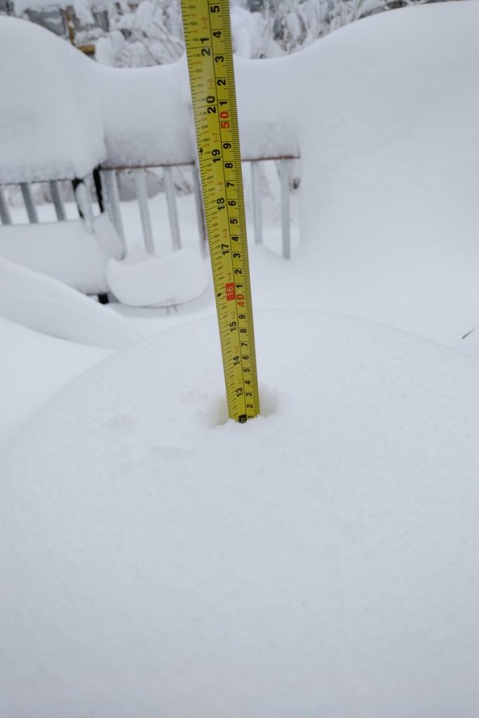 neve terranova canada