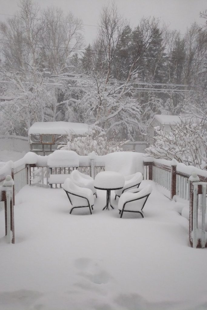 neve terranova canada