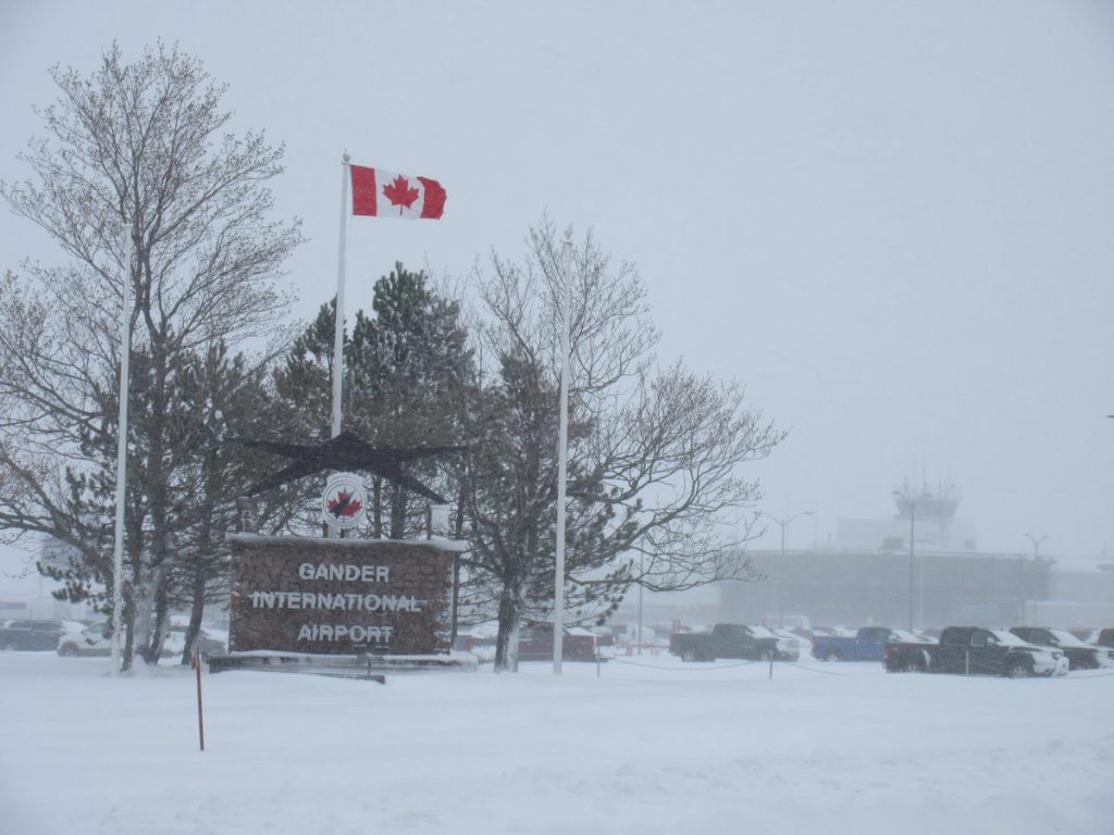 neve terranova canada