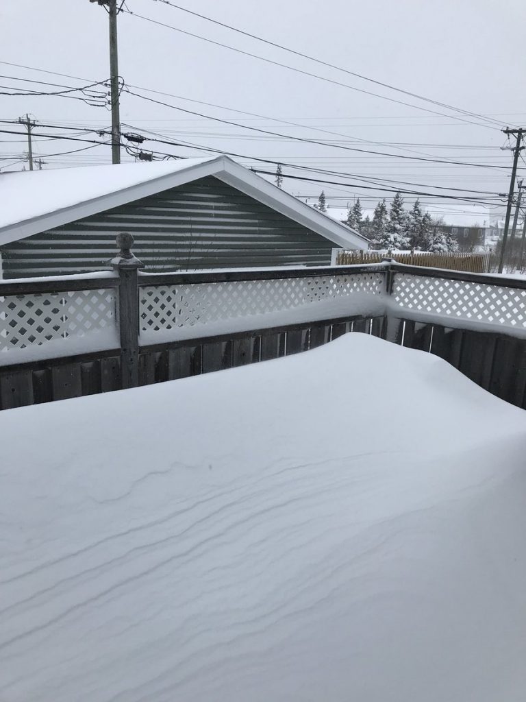 neve terranova canada