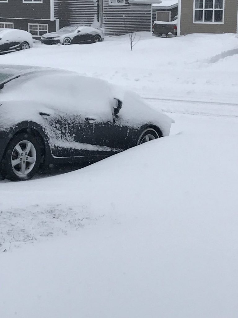 neve terranova canada