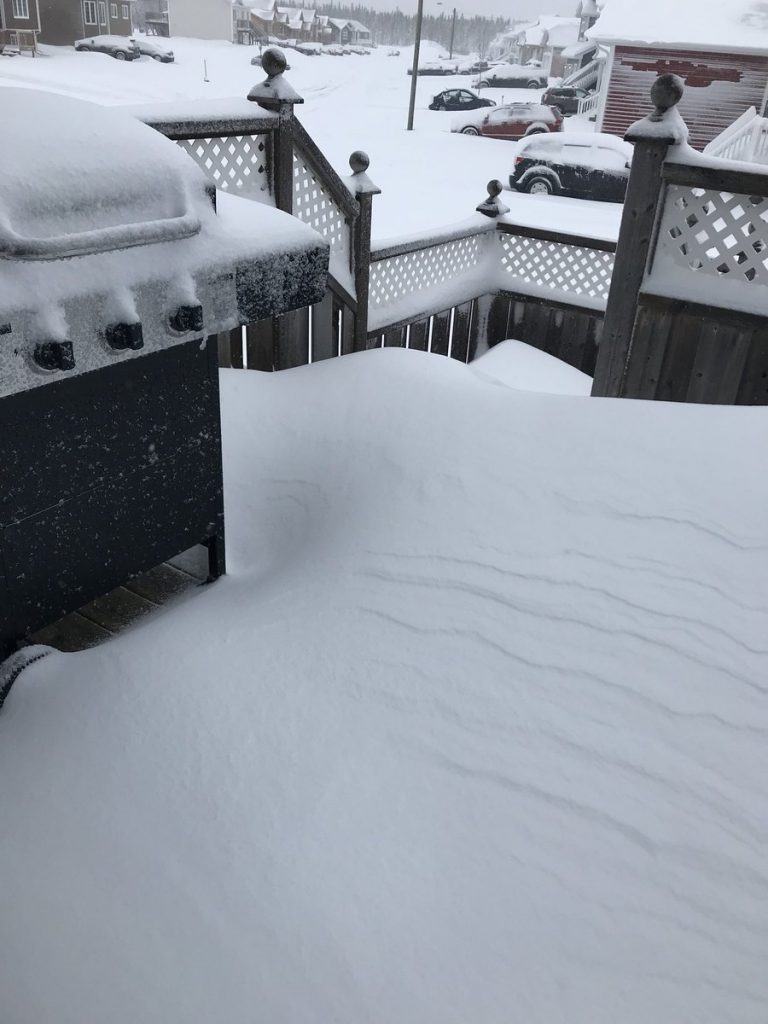neve terranova canada