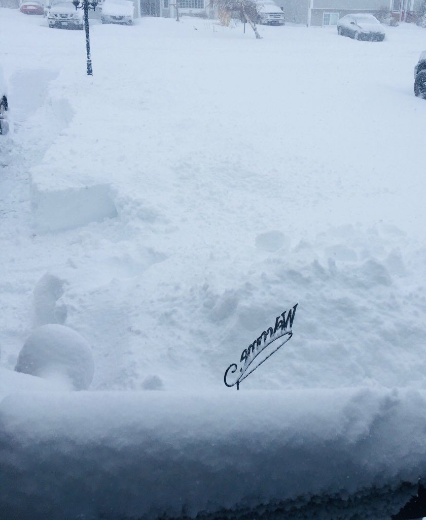 neve terranova canada