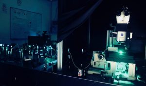 quantum dot