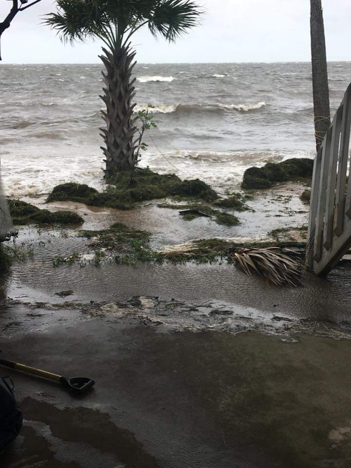 tempesta alberto USA